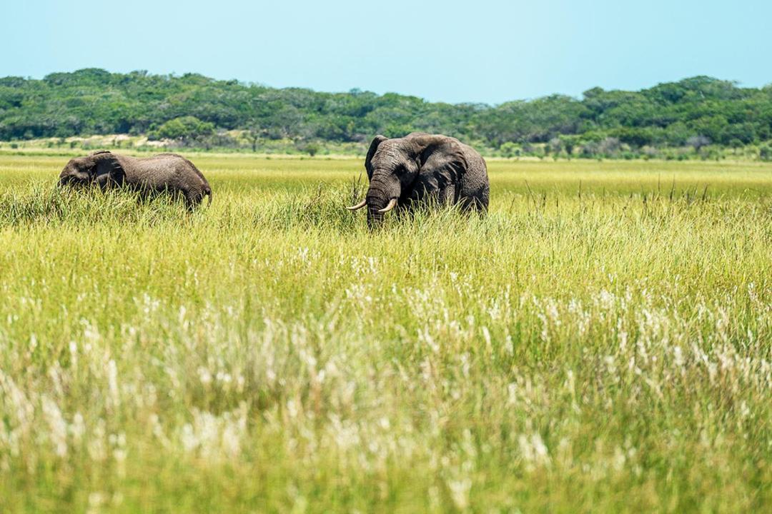 Montebelo Milibangalala Bay Resort Maputo Dış mekan fotoğraf