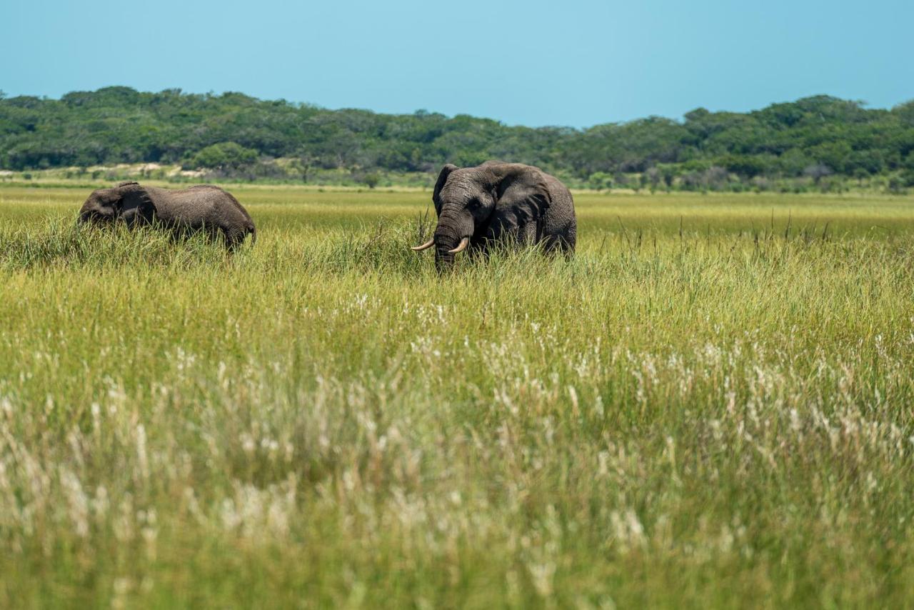 Montebelo Milibangalala Bay Resort Maputo Dış mekan fotoğraf